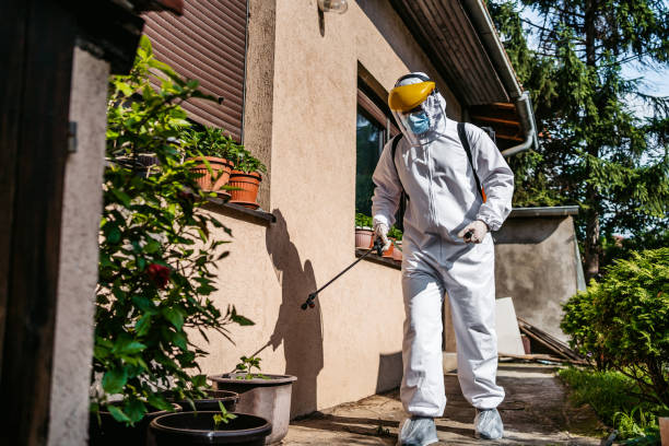 Best Best Pest Control Companies  in North Little Rock, AR