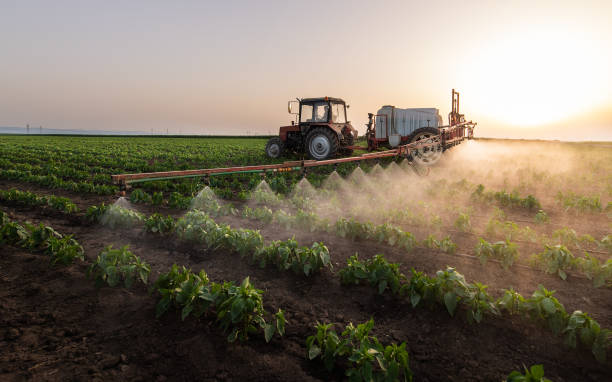 Best Mosquito Control Services  in North Little Rock, AR